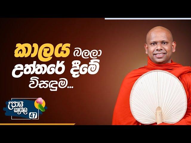 47. කාලය බලලා උත්තරේ දීමේ විසඳුම.. | උපාය කුසල | Venerable Welimada Saddaseela Thero