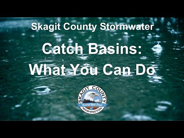 Catch Basins: What You Can Do