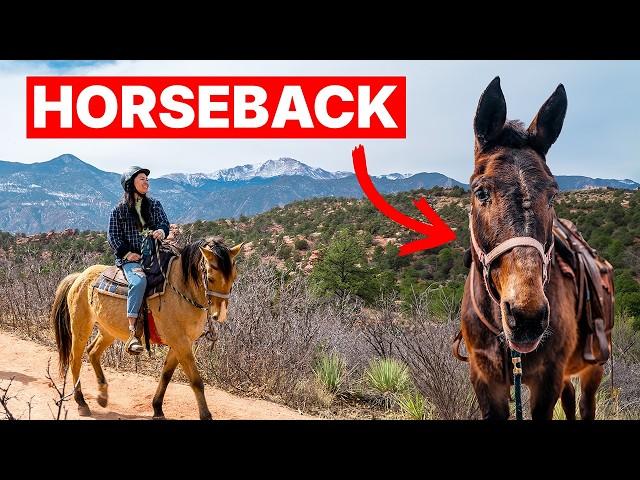 Exploring Garden of the Gods by Horseback!