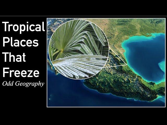 Tropical Places That Can Freeze | Odd Geography