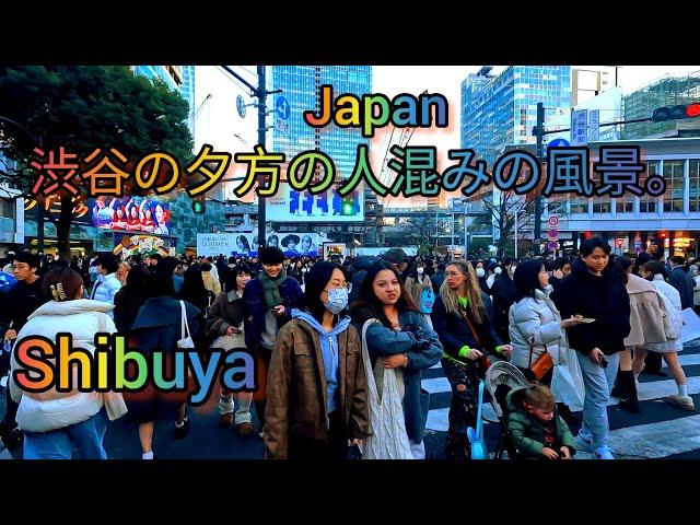 [4K] Shibuya Evening sightseeing and Walking Tour. Tokyo, Japan.