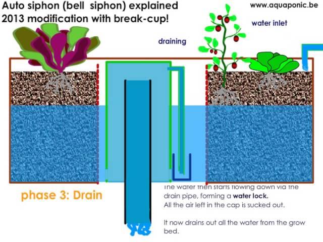 Best bell siphon ever explained