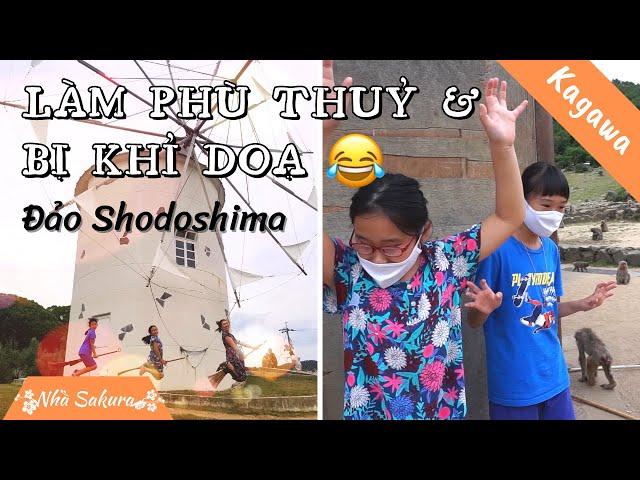 Phượt bụi một ngày trên đảo Shodoshima | KAGAWA #1 | Nhà Sakura