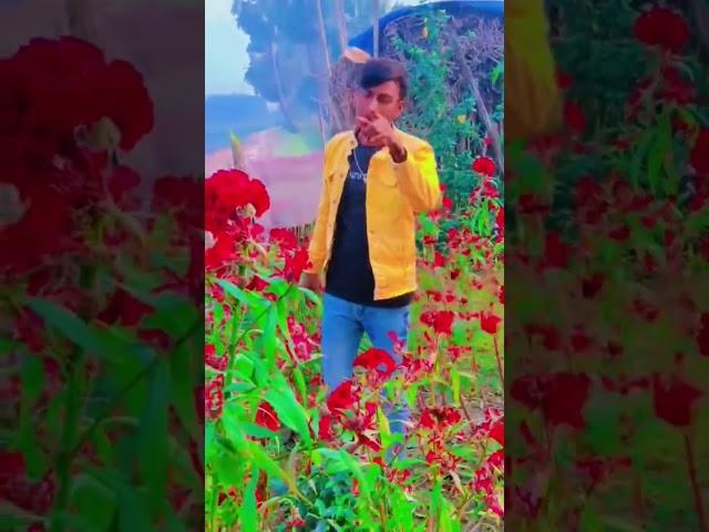 katihar jila santhali shor//singar//Stephan tudu//cast//Naresh Murmu//camera//Amar hansda//(katihar)