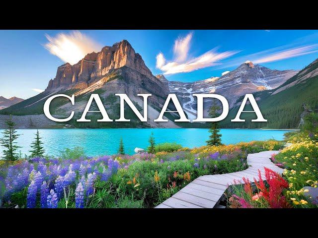 Peaceful Piano, Relaxation, Beautiful Nature, CANADA | 4K LANDSCAPE  simple happiness