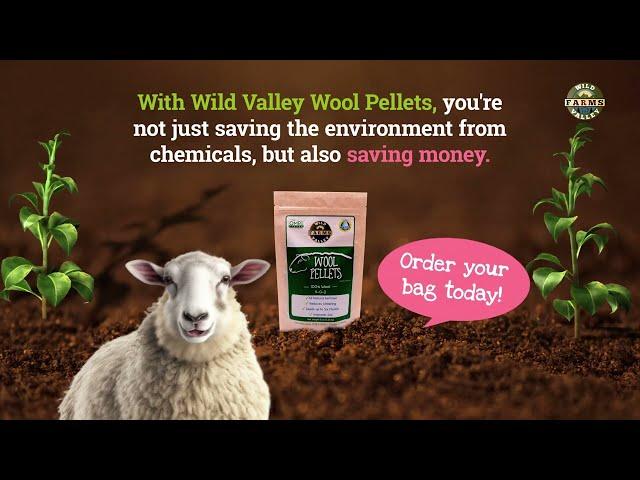 Wild Walley Farms: Packed With 100% Organic Wool