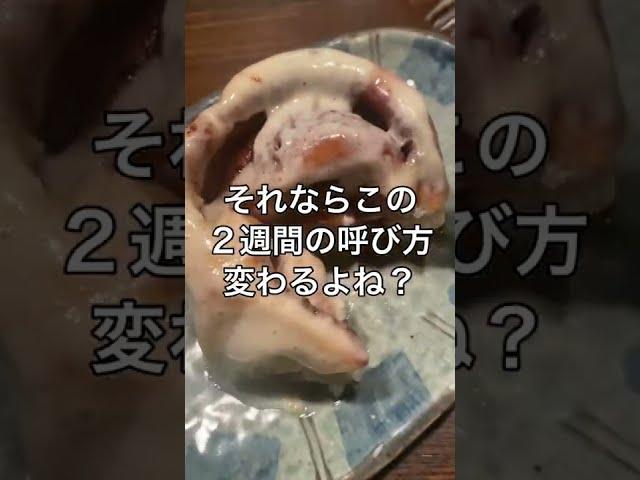 【さすがに無理か】14日間毎日食べ過ぎた人専用動画