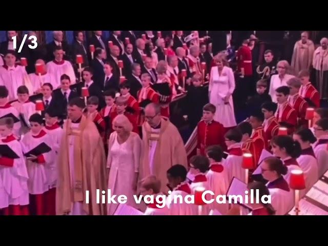 I like vagina Camilla