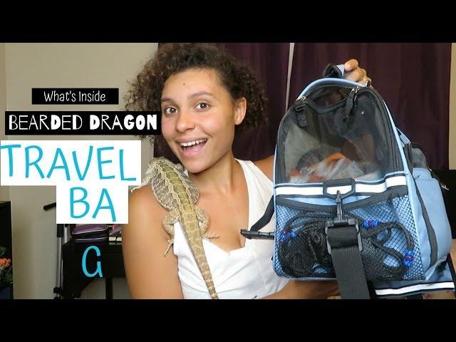 What's Inside My Bearded Dragon's Travel Bag (Favorite reptile items)