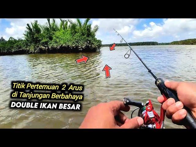 Sambutan Kuat IKAN BESAR Merah & Putih di Spot Mancing Muara Sungai Besar  Light Casting