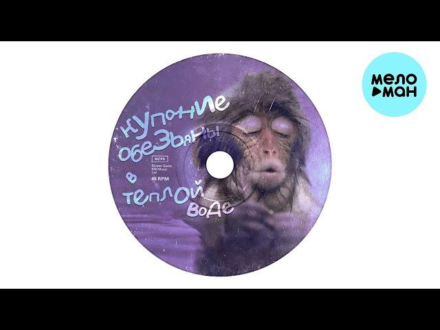 Купание обезьяны в тёплой воде - Танцуй (Single 2023)