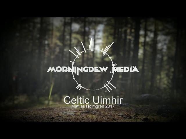 Fantasy Music - Celtic Harp - Melancholic Medieval Music | Celtic Uimhir by Mattias Holmgren