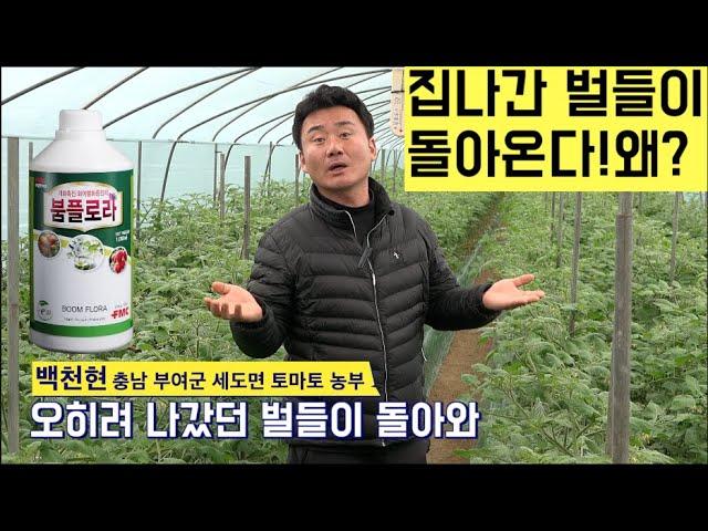 [한국농수산TV] 집나간 벌들이 돌아온다! 아니 남의 것도 빼앗아 온다!! 왜? 붐플로라 효과~충남 부여