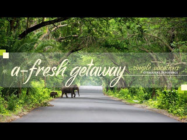 OFFBEAT DESTINATION | Apalchand Forest Village