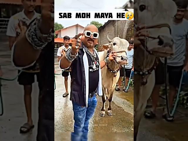 गौ सेवा ही सच्ची सेवा – Serving the Cow is True Service|| #humanity #gaumata #shorts #ytshorts