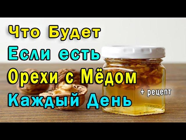  Что Будет, Если Каждый День Есть Грецкие Орехи с Мёдом + Правильный Рецепт 