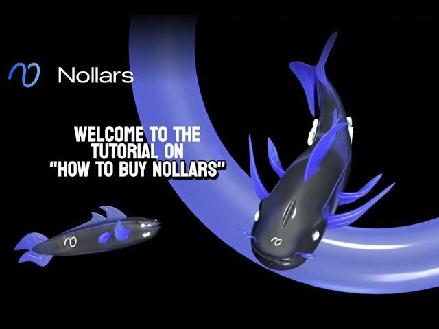 How to Buy Nollars Network in Presale | Low Fees & Fast Transactions Guide