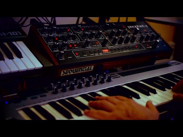 SEQUENTIAL PROPHET-5 - VINTAGE CLASSICS - CUSTOM PATCHES (PART 1)