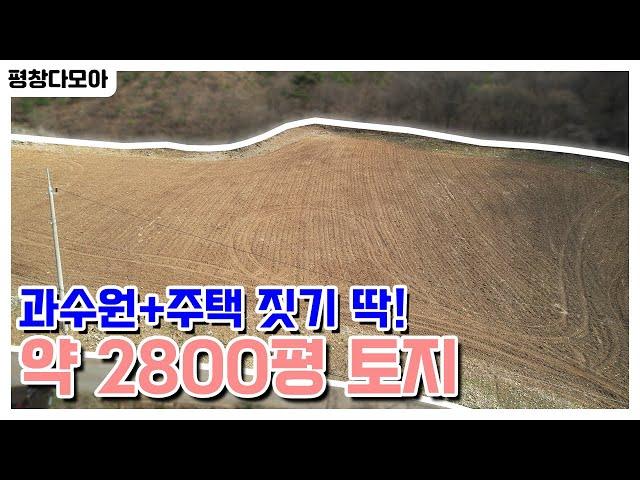 과수원 농사 짓기 딱!주택과 정원, 과수원을 구성하고도 넉넉할 약 2800평 토지 매물이 공시지가 대비 저렴한 가격으로 나왔습니다!
