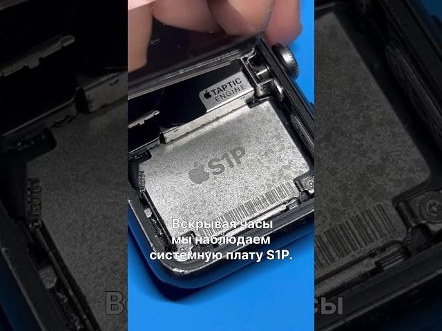 ЧТО ВНУТРИ APPLE WATCH