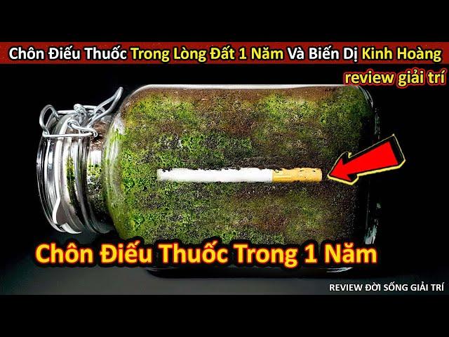 Chôn Điếu Thuốc Trong Đất Suốt 1 Năm Và Biến Đổi Kinh Hoàng || Review Giải Trí Đời Sống