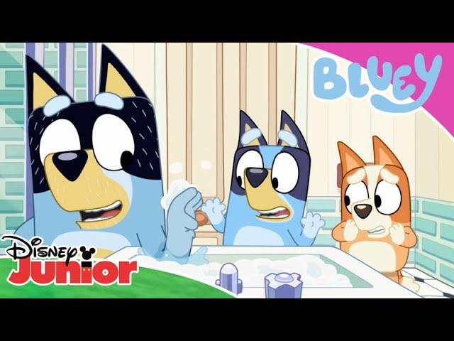 Looking After Shaun | Bluey  | Disney Junior Arabia