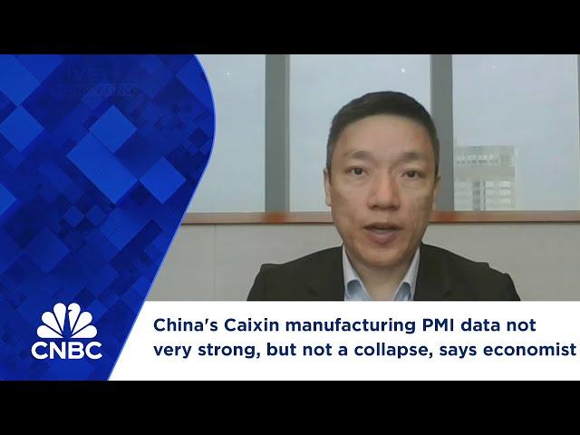 China's Caixin manufacturing PMI data not very strong, but not a collapse, says economist