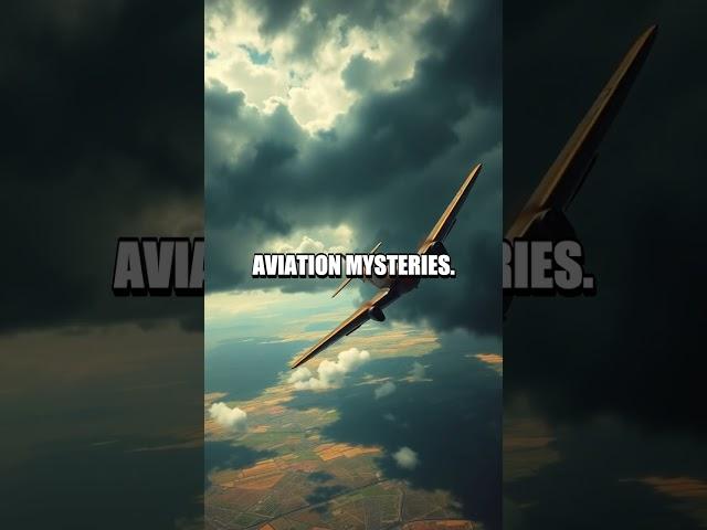 The Chilling Mystery of the New York Aviatrix's Demise