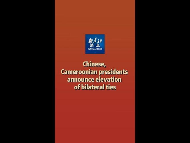 Xinhua News | Chinese, Cameroonian presidents announce elevation of bilateral ties