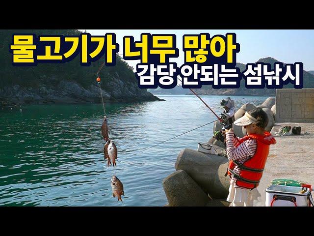 Korea's hidden gem, heavenly island fishing