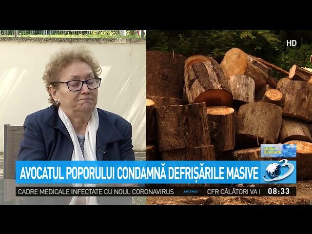Exclusiv! Avocatul poporului condamnă defrişările masive: Avem un raport foarte serios pe tema ac