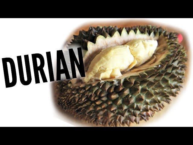 DURIAN Taste Test | FRUITY FRUITS