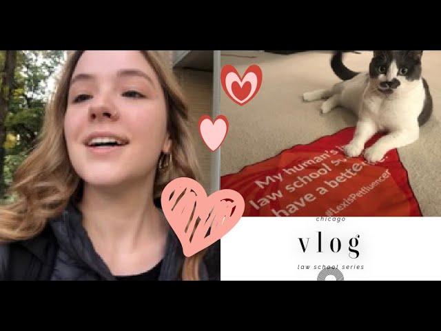 Law School Vlog | Chicago | productive days, studying, Weee! haul