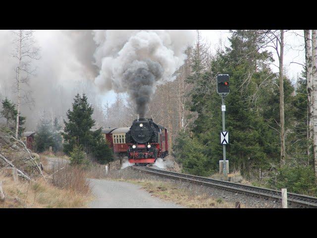 Die Harzer Schmalspurbahn im Frühling 2024 / von Wernigerode zum Brocken