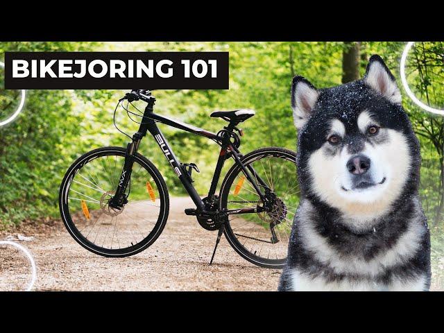 What is Bikejoring?