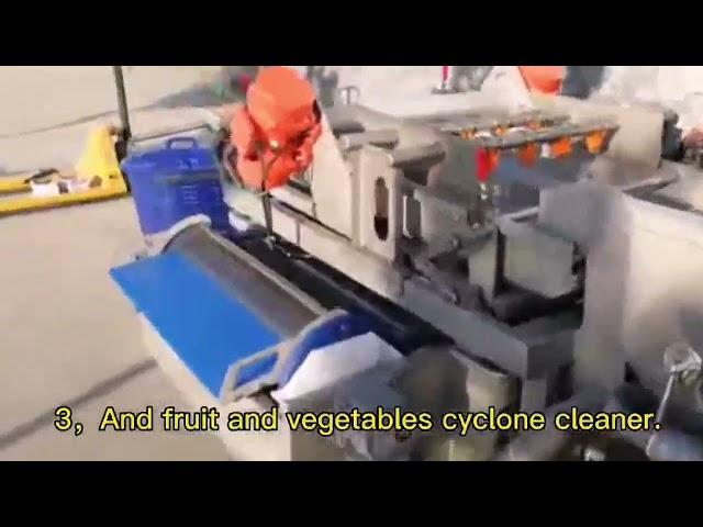 Industrial Fruit and Vegetable Washing Equipment Spinach Cabbage Lettuce Salad Vegetable Processing