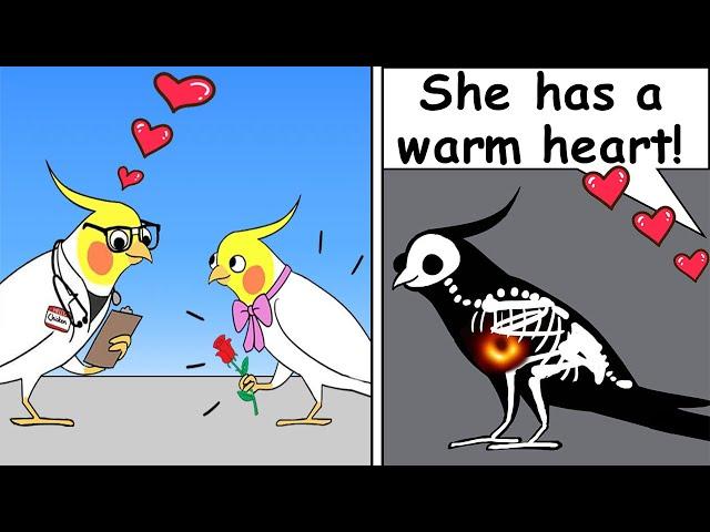 Funny Comics With a Parrot Twist #19 | Parrot Comic Dub