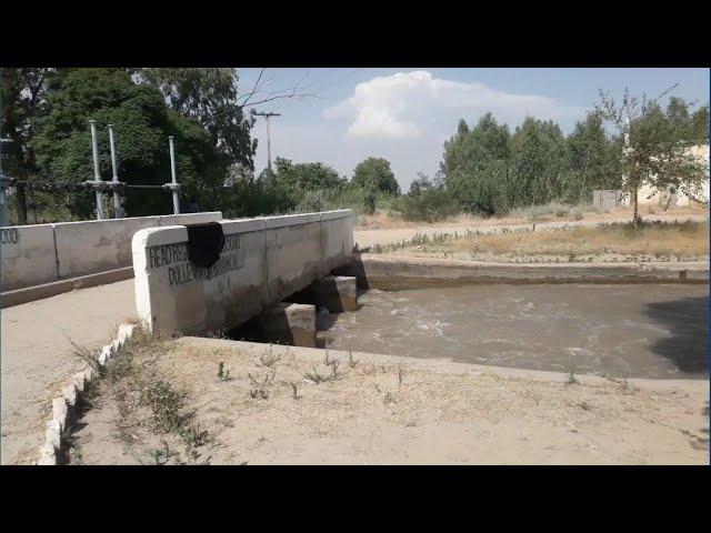 Head Dullewala Chak 25DB | Canal Swimming | Wan Bachran | Punjab | Trip Shrip with iFFi