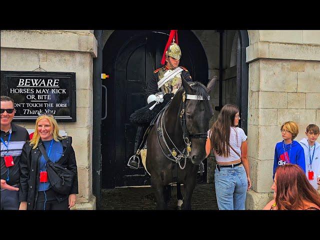 TOUCHING THE HORSES IS BACK AND CONFUSES THE TOUR GUIDE AND HER TOURISTS at Horse Guards!