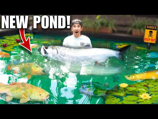 Turning The 4000G Backyard Pond Into EXOTIC DREAM AQUARIUM!