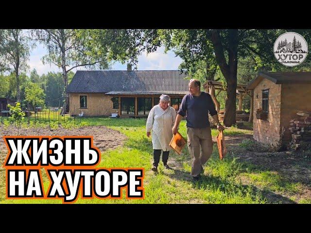 ХУТОРСКИЕ БУДНИ БЕЗ ПРИКРАС. 3 ДНЯ В ЛЕСУ,   ПОЛЕ, ПЧЁЛЫ И ПОСЛЕДНЯЯ ПАРТИЯ ПОРОСЯТ!