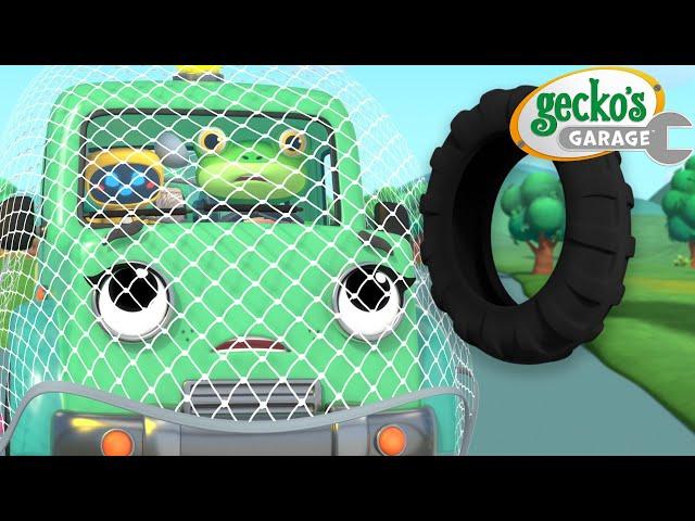 Gecko’s Tire Trouble! | Gecko's Garage  | Cartoons For Kids | Toddler Fun Learning