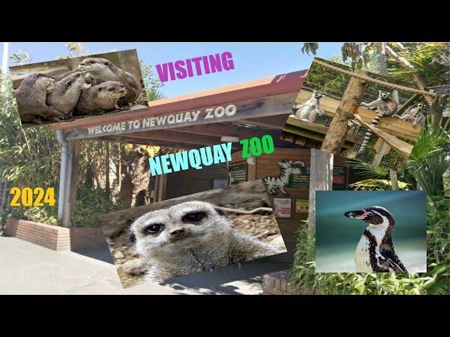 Visiting Newquay Zoo in 2024