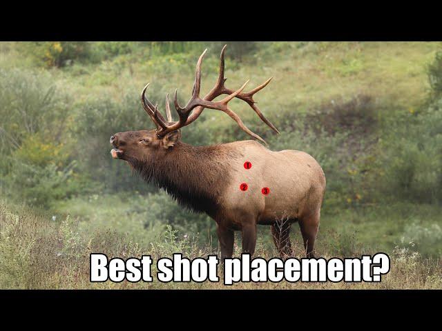 Aaron Davidson - Gunwerks - Best Elk Cartridge