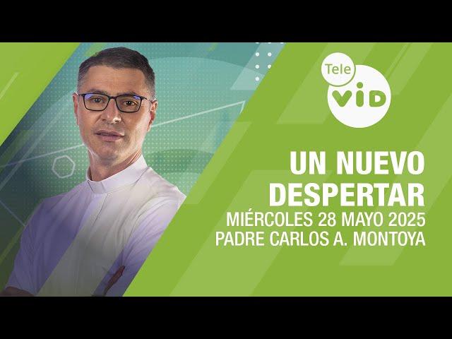 Un Nuevo Despertar Miércoles 28 Mayo 2025  Padre Carlos Andrés Montoya #TeleVID #OraciónMañana