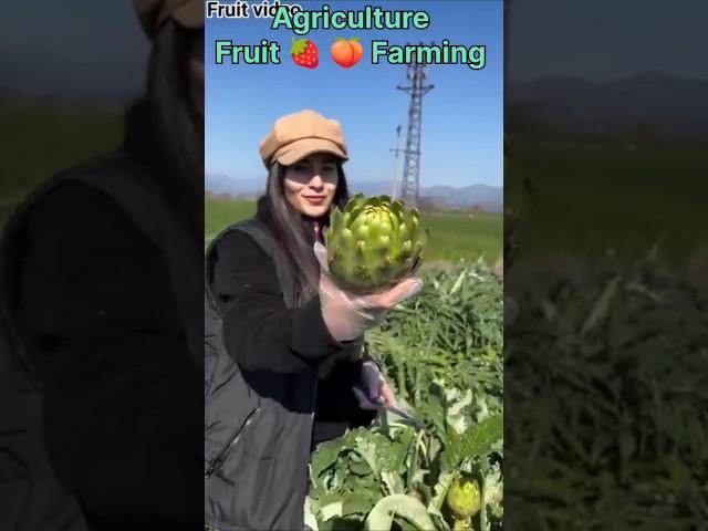 How to Fruit farming agriculture///#farming #agriculture #agriculturefarming #fruitfarming