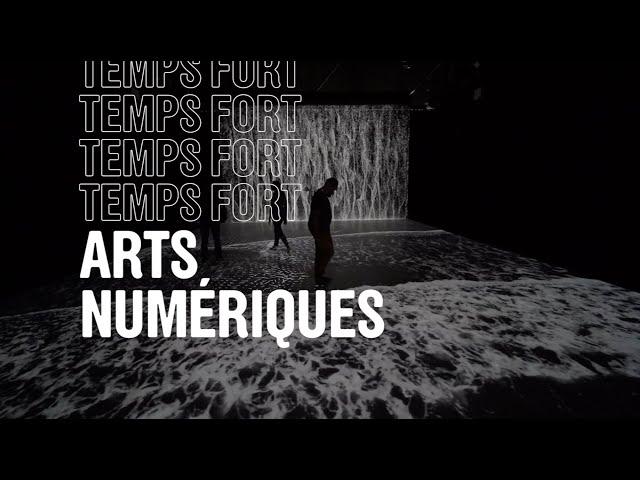 Temps fort - Arts numériques