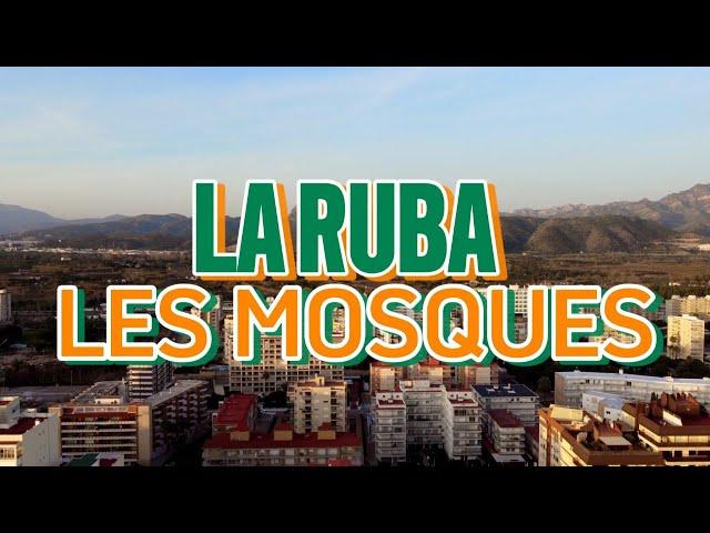 La Ruba - Les mosques (vídeo oficial)