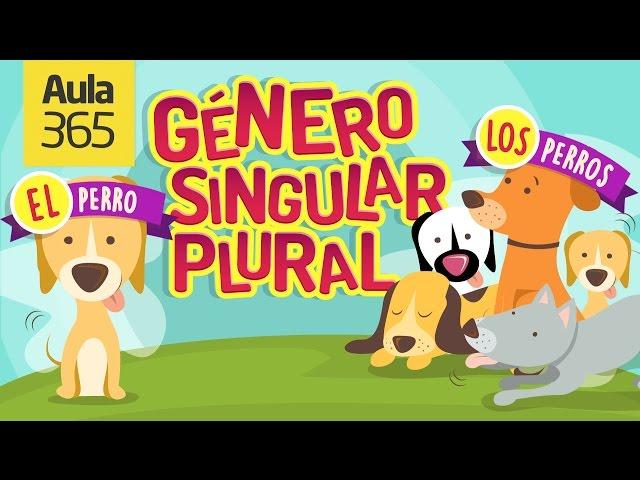 ¿Qué es el Género y Número de los Sustantivos? | Videos Educativos Aula365