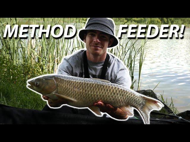 Amurs and crucian carp on the method feeder!